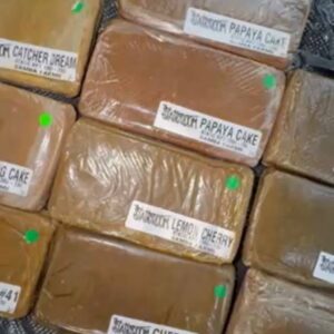 Static Room Hash Green Line